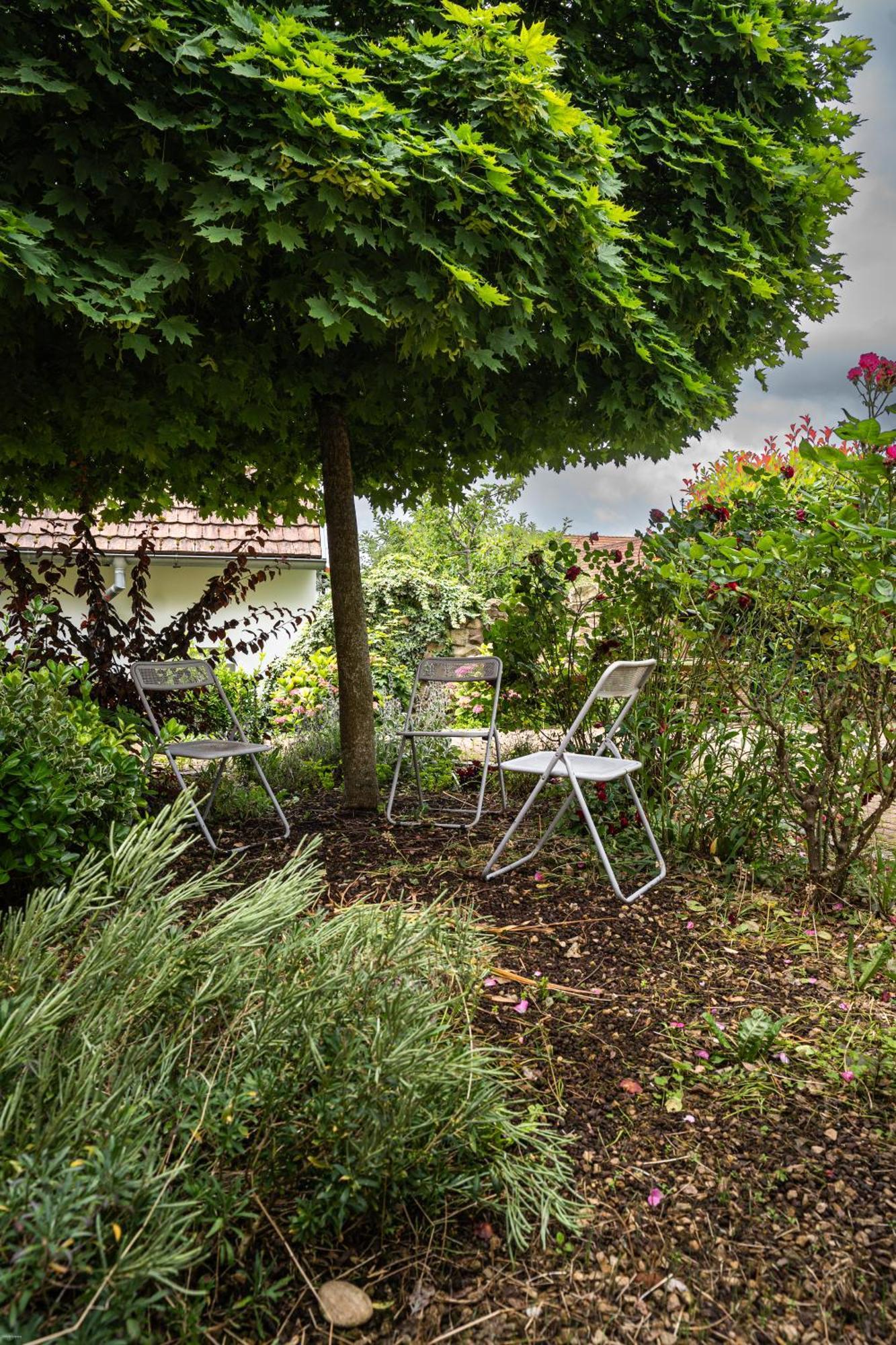 Le Gite 'Humulus' Bilwisheim 外观 照片